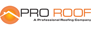 Rain Pro Roofing Logo