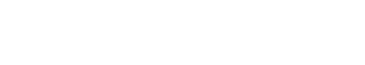 Webster Exteriors Inc Logo