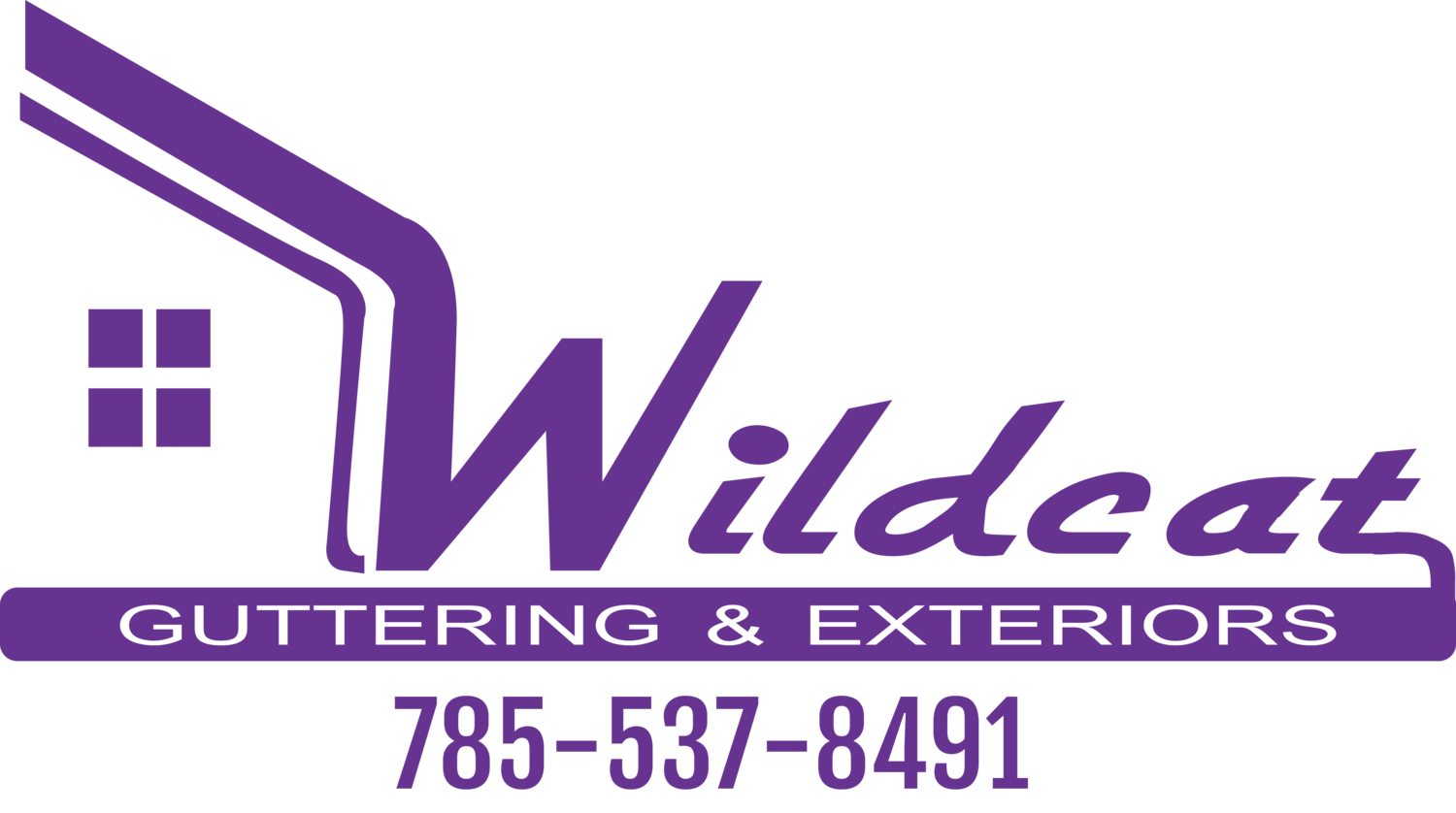 Wildcat Guttering & Exteriors Logo